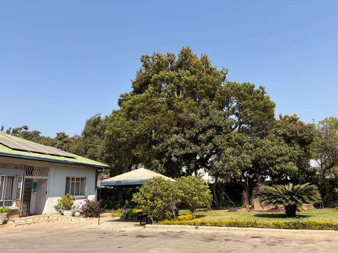 Our Clinic